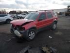 2002 Ford Escape XLT