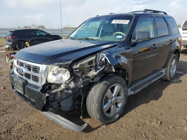 2010 Ford Escape XLT