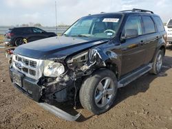 Ford Escape salvage cars for sale: 2010 Ford Escape XLT