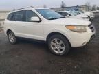 2007 Hyundai Santa FE SE