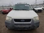 2003 Ford Escape XLT