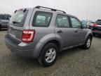 2008 Ford Escape XLS