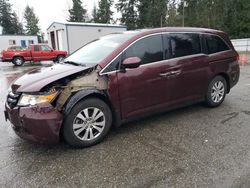 Honda salvage cars for sale: 2014 Honda Odyssey EXL