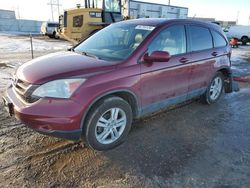 SUV salvage a la venta en subasta: 2011 Honda CR-V EXL