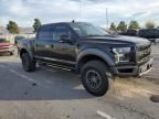 2019 Ford F150 Raptor