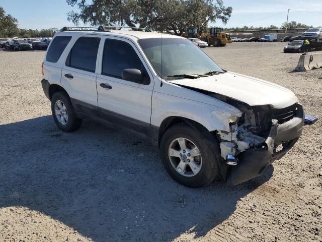 2005 Ford Escape XLT