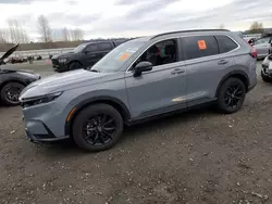 Salvage cars for sale at Arlington, WA auction: 2023 Honda CR-V Sport