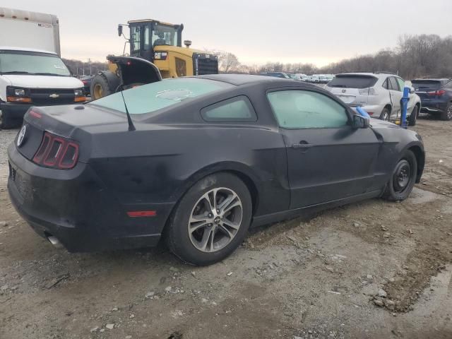 2013 Ford Mustang