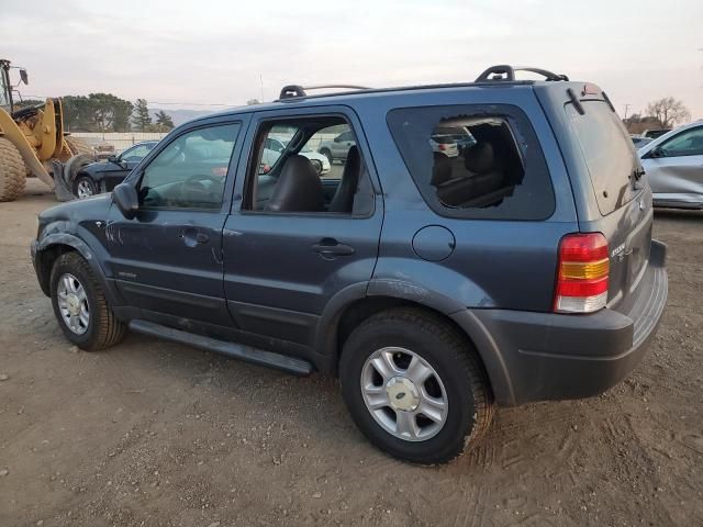 2001 Ford Escape XLT