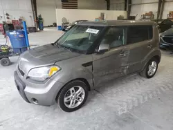 Salvage cars for sale from Copart Greenwood, NE: 2011 KIA Soul +