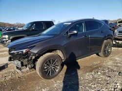 Lexus nx 350 pre salvage cars for sale: 2024 Lexus NX 350 Premium