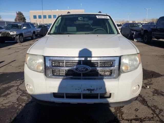 2010 Ford Escape XLT