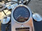 2006 Harley-Davidson Flstci