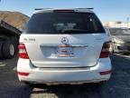 2009 Mercedes-Benz ML 350