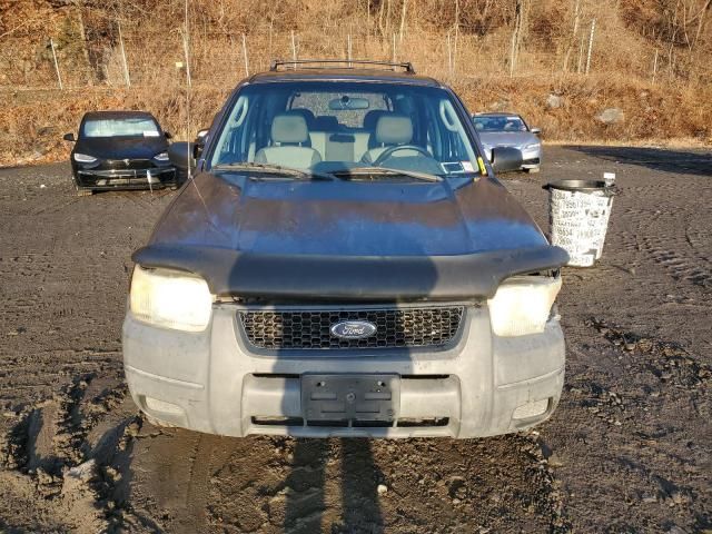 2004 Ford Escape XLS