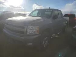 Salvage cars for sale at Brighton, CO auction: 2008 Chevrolet Silverado K1500