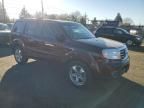 2013 Honda Pilot EXL