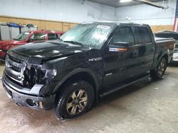 Salvage trucks for sale at Kincheloe, MI auction: 2013 Ford F150 Supercrew