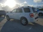 2008 Ford Escape Limited