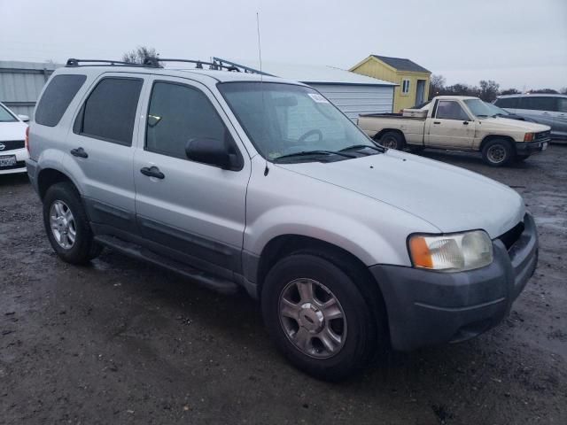 2003 Ford Escape XLT