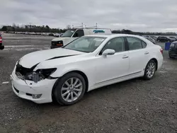 2011 Lexus LS 460 en venta en Lumberton, NC