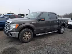 Ford salvage cars for sale: 2009 Ford F150 Supercrew