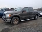 2009 Ford F150 Supercrew