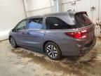 2025 Honda Odyssey EXL