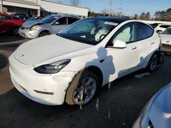 Tesla salvage cars for sale: 2021 Tesla Model Y