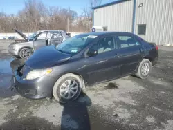 Vehiculos salvage en venta de Copart Albany, NY: 2010 Toyota Corolla Base