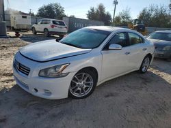 Salvage cars for sale at Midway, FL auction: 2010 Nissan Maxima S