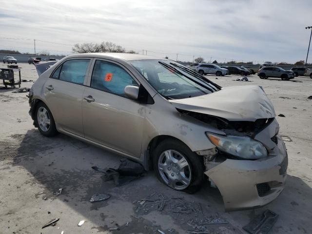 2010 Toyota Corolla Base