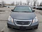 2010 Honda Odyssey EXL