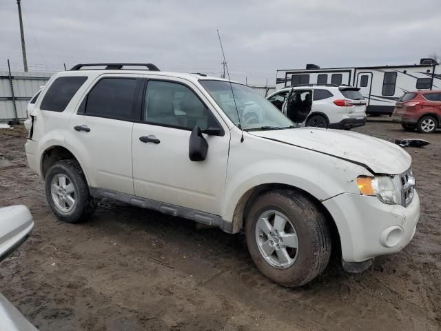 2010 Ford Escape XLT