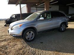 Salvage cars for sale at American Canyon, CA auction: 2011 Honda CR-V EXL