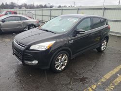 Ford Escape sel salvage cars for sale: 2013 Ford Escape SEL