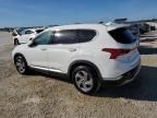 2023 Hyundai Santa FE SEL Premium