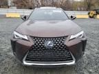 2020 Lexus UX 250H