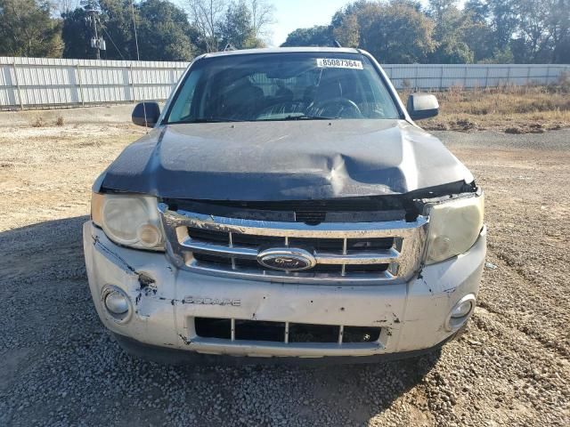 2008 Ford Escape XLT