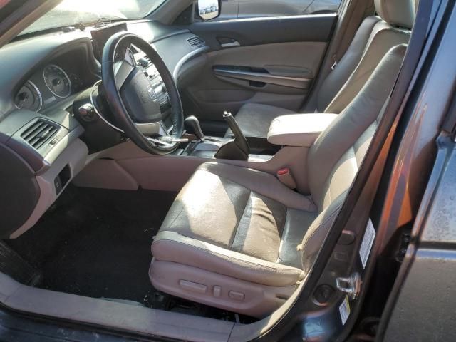 2009 Honda Accord EXL