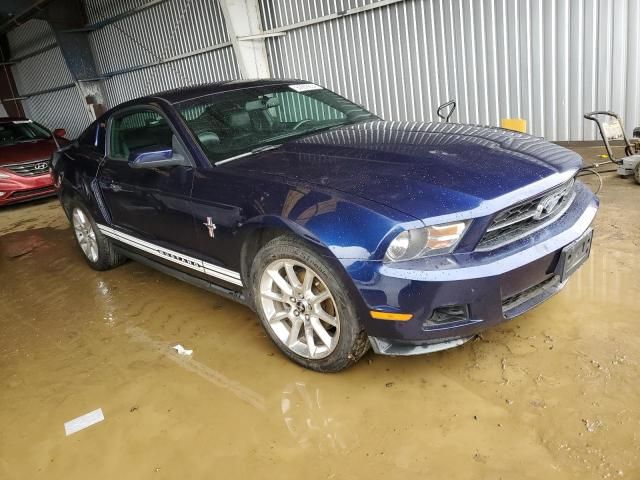 2010 Ford Mustang