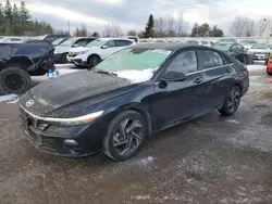 2024 Hyundai Elantra Luxury en venta en Bowmanville, ON