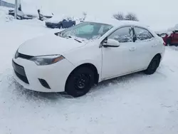 2016 Toyota Corolla L en venta en Montreal Est, QC