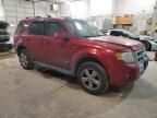 2008 Ford Escape Limited