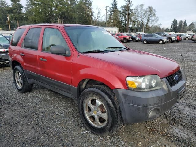 2006 Ford Escape XLT