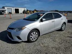 Salvage cars for sale at Lumberton, NC auction: 2014 Toyota Corolla L