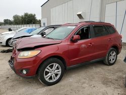 Salvage cars for sale at Apopka, FL auction: 2011 Hyundai Santa FE SE