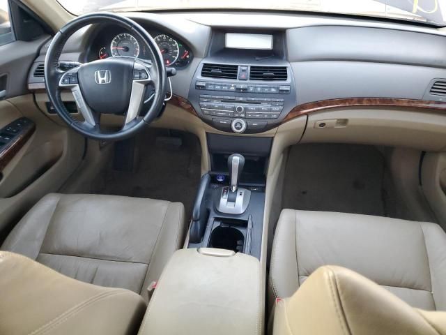 2010 Honda Accord EXL