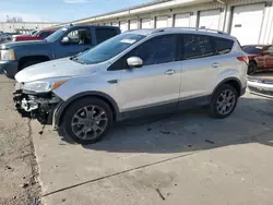 Salvage cars for sale at Louisville, KY auction: 2016 Ford Escape Titanium