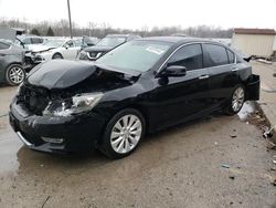 Salvage cars for sale at Louisville, KY auction: 2013 Honda Accord EXL